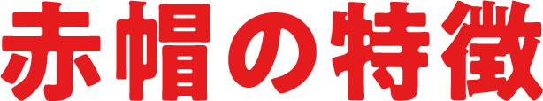 赤帽の特徴|赤帽 滋賀県|滋賀で独立・起業・開業をお考えの方、高収入を考えた転職をお考えの方